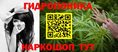 наркотики Пугачёв