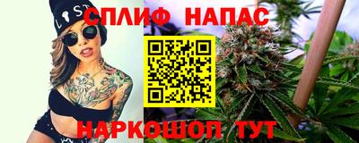 наркотики Пугачёв