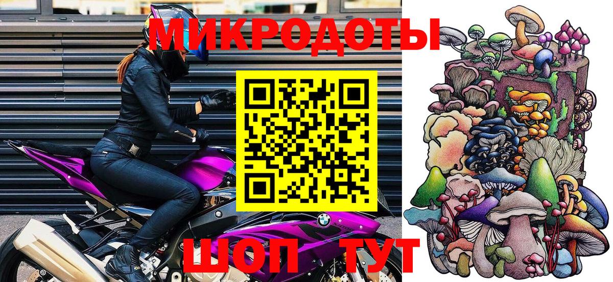 Псилоцибиновые грибы Psilocybe Среднеуральск