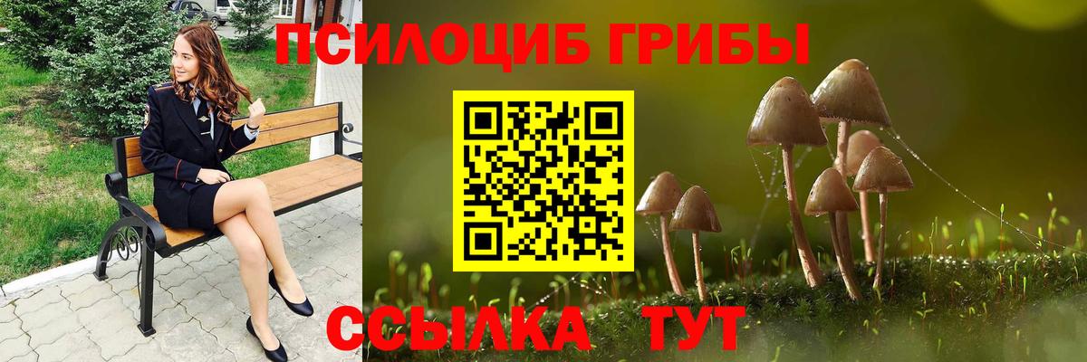 Среднеуральск  Псилоцибиновые грибы GOLDEN TEACHER  Вход с VPN 